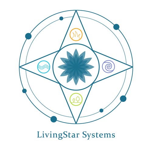 BEFORE - LivingStar Systems DIY logo