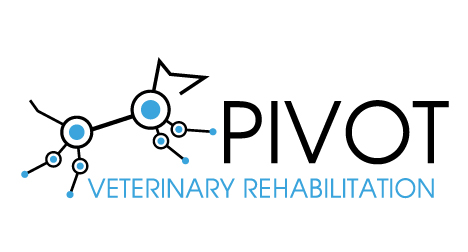 Pivot Veterinary Rehabilitation logo design
